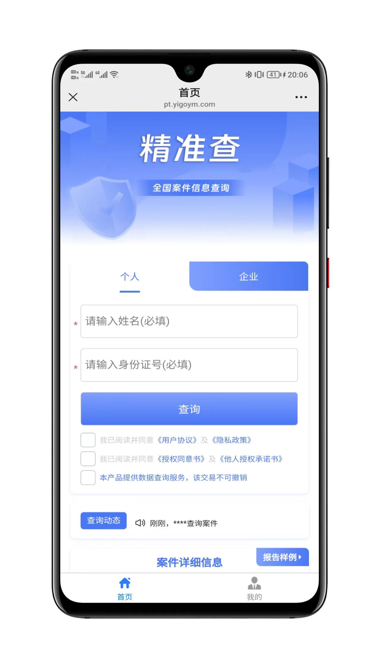 个人企业涉诉案底查询系统界面展示