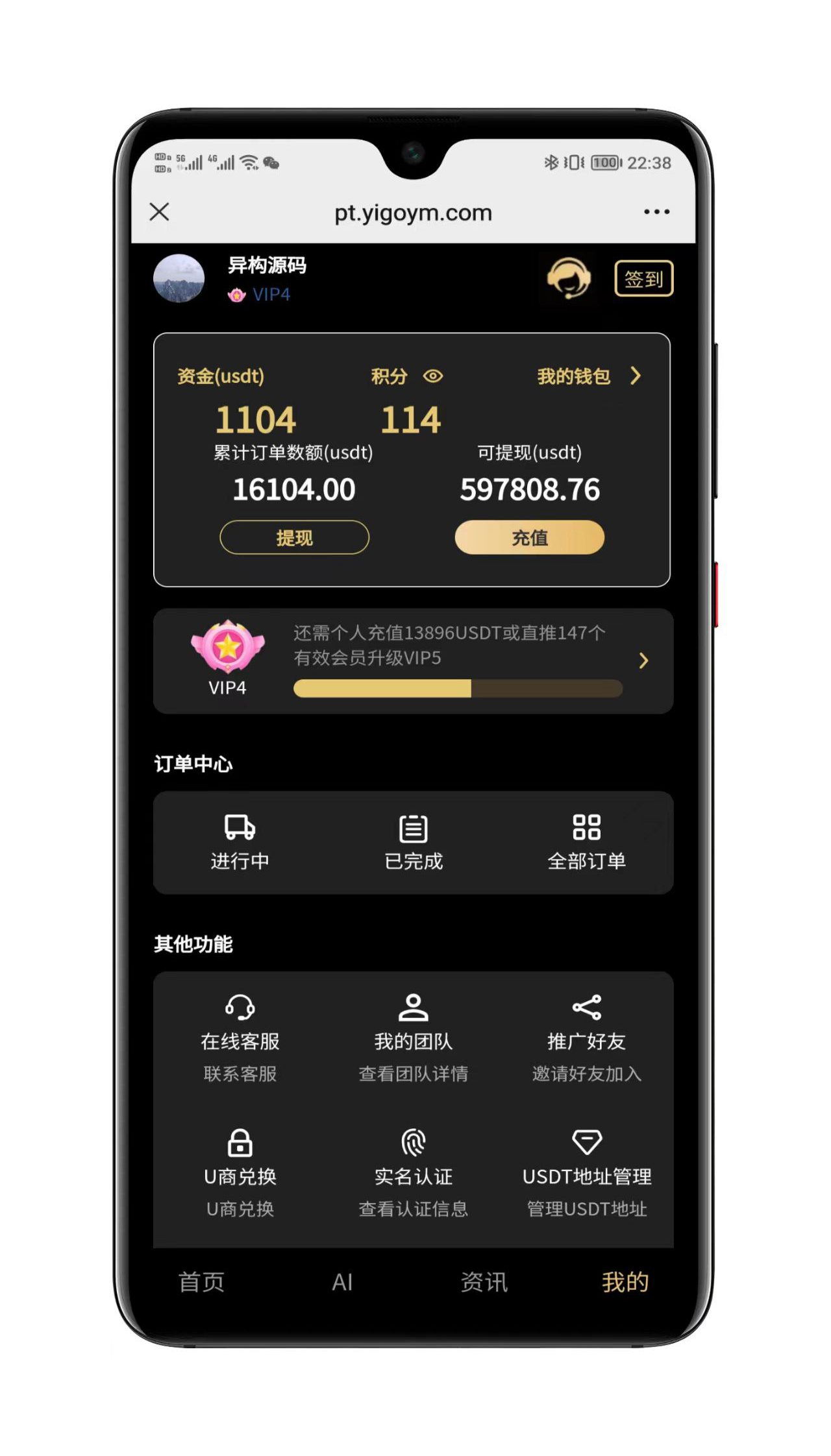 用户界面概览截图