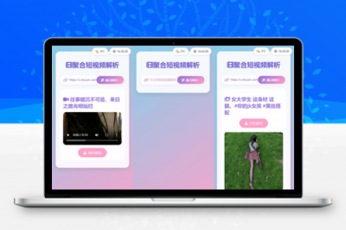 全新二次元聚合短视频解析去水印系统源码 - 自适应双端优化版
