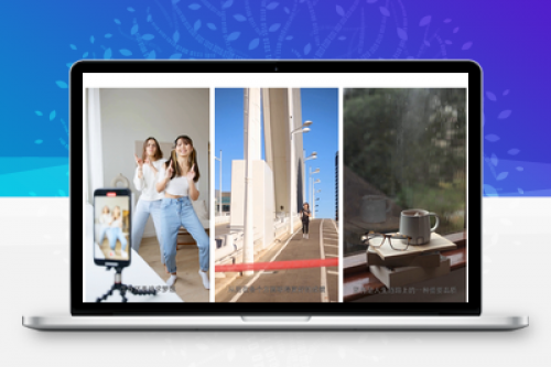 全自动AI生成视频MoneyPrinterTurbo源码下载，在线AI视频生成工具