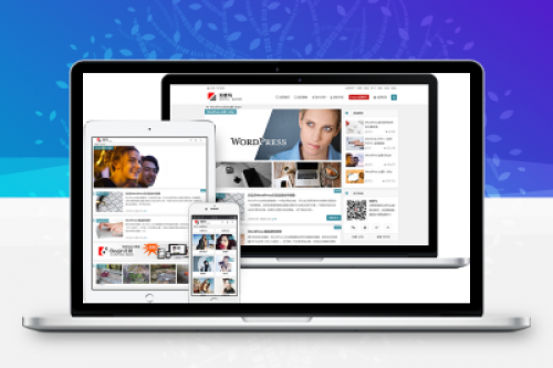 WordPress主题：知更鸟Begin5.2免授权版 - 响应式多功能博客主题